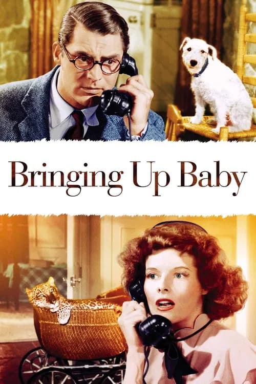 Постер «Bringing Up Baby»