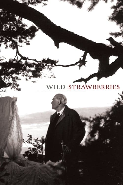 Постер «Wild Strawberries»
