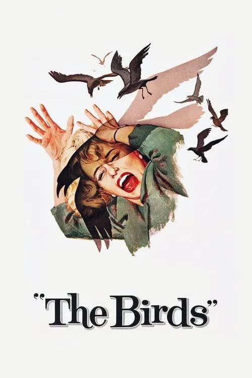 Постер «The Birds»