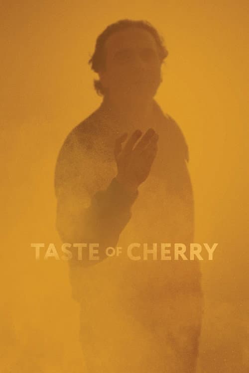 Постер «Taste of Cherry»