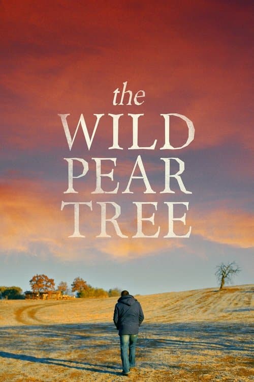 Постер «The Wild Pear Tree»